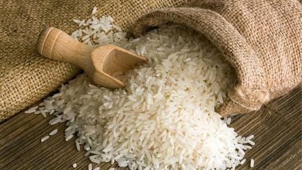 Organic Rice - Long Grain Brown Rice, Dried & Fresh, White Color, Premium Quality Assurance