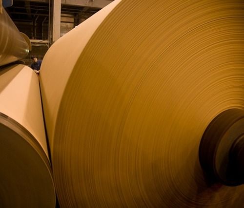 Brown Kraft Paper Thickness: 120 - 180 Gsm Meter