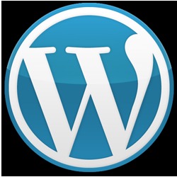 Wordpress Development Service - Professional Approach Timely Delivery Innovative Solutions for Diverse Client Needs
