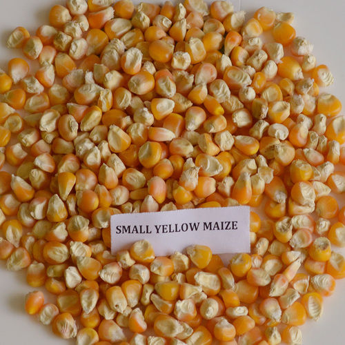 High Grade Yellow Maize