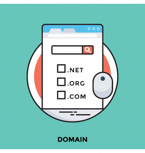 Domain Name Registration Services