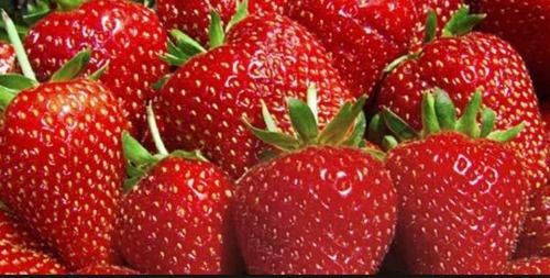 Natural And Organic Strawberry