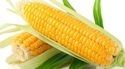 Frozen Yellow Sweet Corn