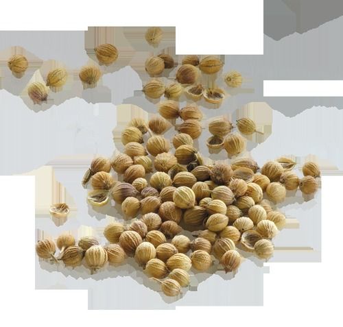 Stainless Steel Coriander Seed And Powder