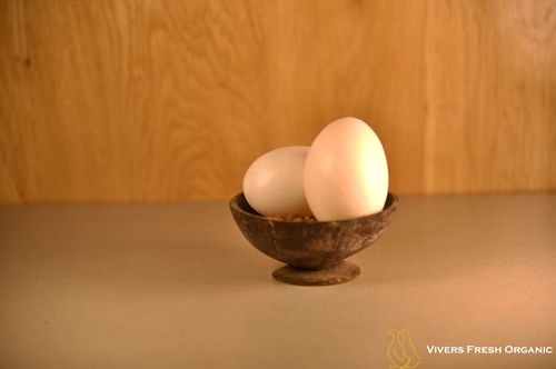 Extremely Nutritious Duck Egg
