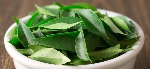 Best Quality Curry Leaves