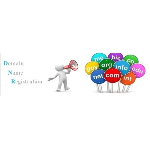 Domain Name Renewal Service At Best Price In Kolkata Infonet It Services