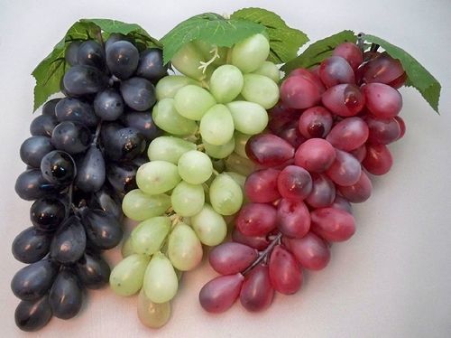 Highly Reliable Dry Fresh Grapes