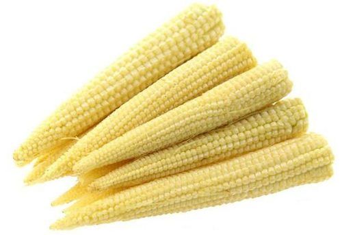 Low Price And Fresh Baby Corn