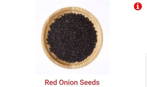 Fresh Red Onion Seeds