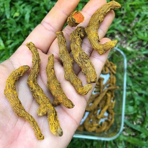 Premium Grade Dried Turmeric Fingers