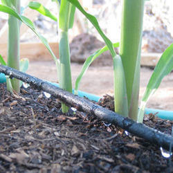 Drip Irrigation Service Capacity: High