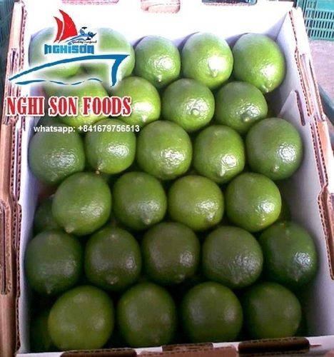 Grade A Green Seedless Lime