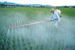 Precisely Processed Crop Pesticides