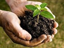 Safe To Use Bio Compost Fertilizer