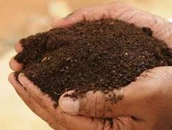 Sugarcane Organic Manure Fertilizer