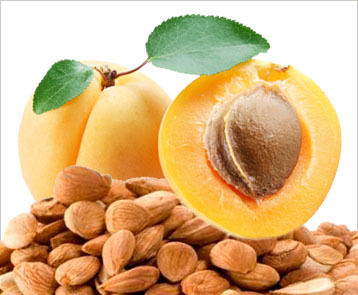 Apricot Seeds Grade: A