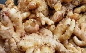 Fresh Organic Root Ginger