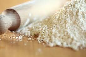High Quality Wheat Flour 