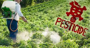 Natural Pesticides For Agriculture Fields