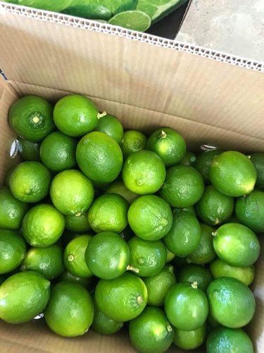 Healthy And Fresh Lime