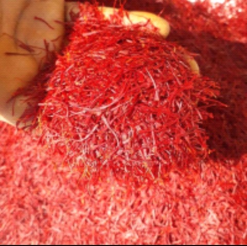 Fresh Organic Kashmiri Saffron