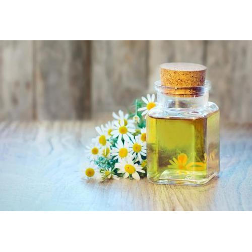 Best Quality Chamomile Oil