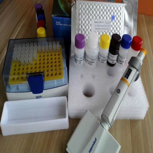 Edothelin 1 Elisa Kits