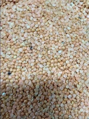 Fresh Organic Masoor Dal