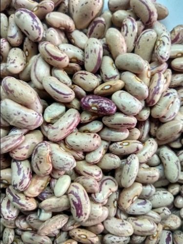 Dried Rich In Protein Kidney Bean