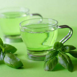 Top Class Green Tea Extracts