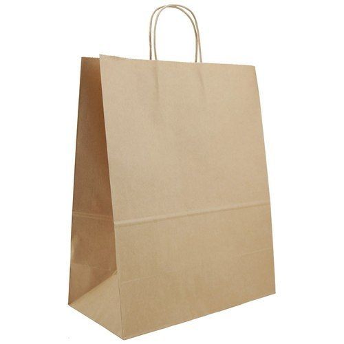 Paper Handle Carry Bag