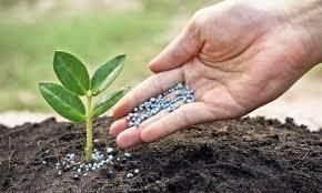 Bio Organic Fertilizer