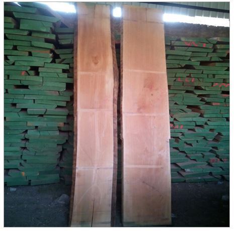 Fine Quality Steam Beech Wood