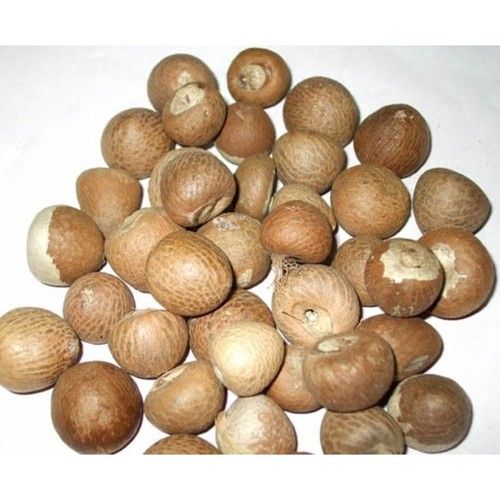 Dried Whole Betel Nut