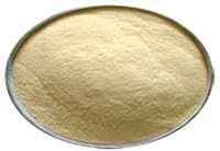 Top Quality Dehydrated Garlic Powder