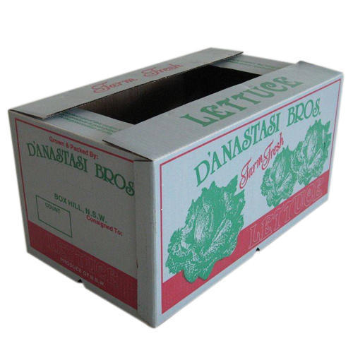 Durable Vegetable Printed Box