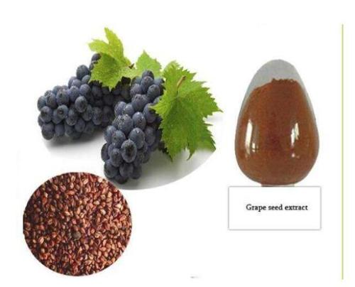 100% Natural Anti-oxidant Grape Seed Extract