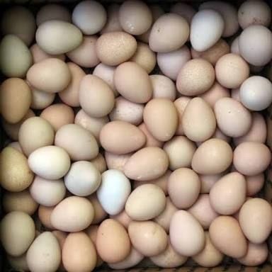 Fresh Guinea Bird Eggs