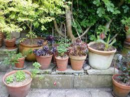 Garden Clay Pots