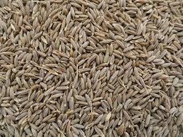 High Benefits Cumin Seeds