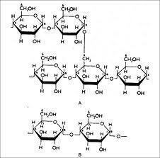 Starch Powder