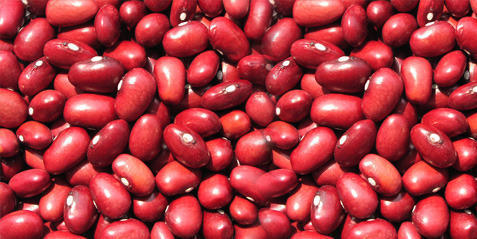Fresh Red Rajmah Beans 