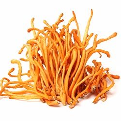 Natural Dried Cordyceps Militaris