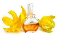 Natural Ylang Ylang Oil