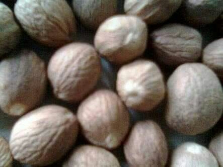 Best Price Dried Nutmeg