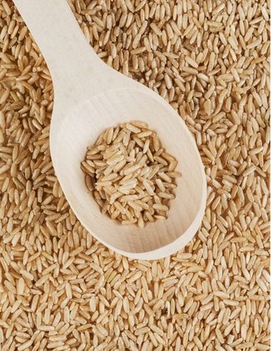 High Quality Brown Rice