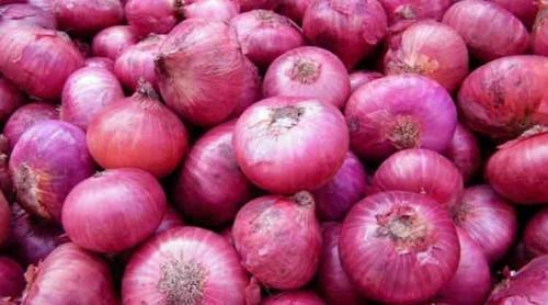 Good Quality Fresh Onion