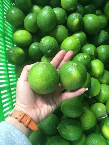 Original And Organic Seedless Lime