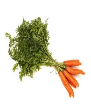 High Grade Carrot Seed Oil